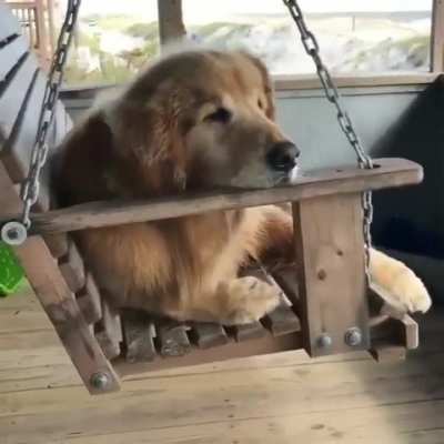 Sittin' on the dock of the Bay... watchin' the tiiiide roll away