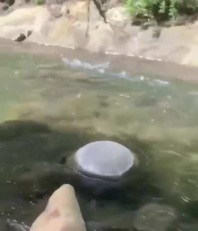 Run!