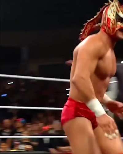 Dragon Lee's pecs