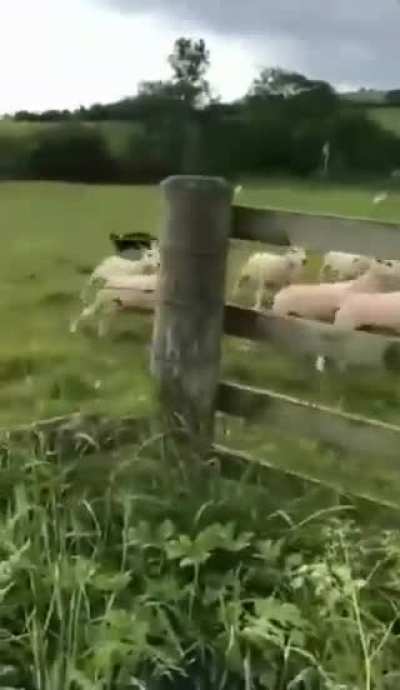 What a pro, very quick and efficient!