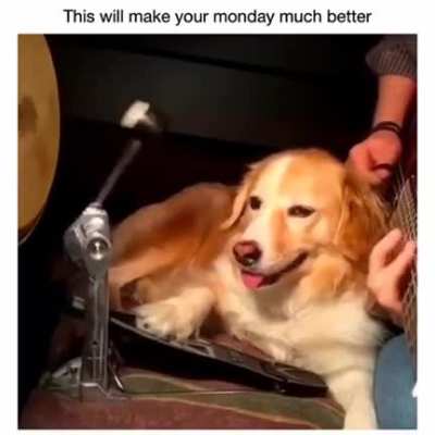 Perfect tempo, perfect bandmate