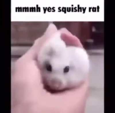 balls