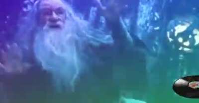 Happy New Year! Gandalf is a big fan!