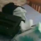 a good scream
