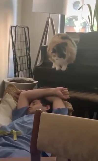 Oh what happened? Anyway now that you’re up, can you feed me?