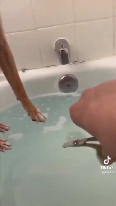 Lol
