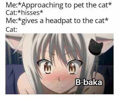Cats make the best Tsunderes