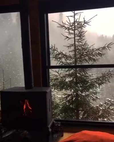 Cosy