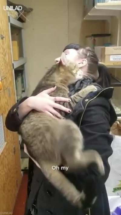 Chonk