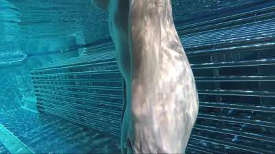 No bikini, just bare tits bouncing with every jump while my BF filmed from below.