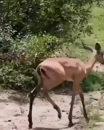 Приро<wbr>да, мать вашу...