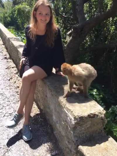 Big hello from the “dumb ass bitch” who got attacked by a monkey in Gibraltar! (No need to be a doucher, I know if fucked up lol. I was 19)