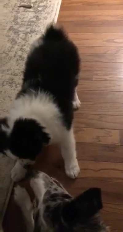 Tiny wiggles