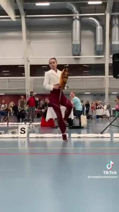 The Hobbyhorse Championship competition