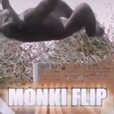 Monki flip 😎😎