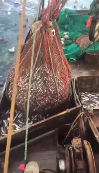 Watch till the end