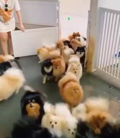 That sneeze at the end 🤣