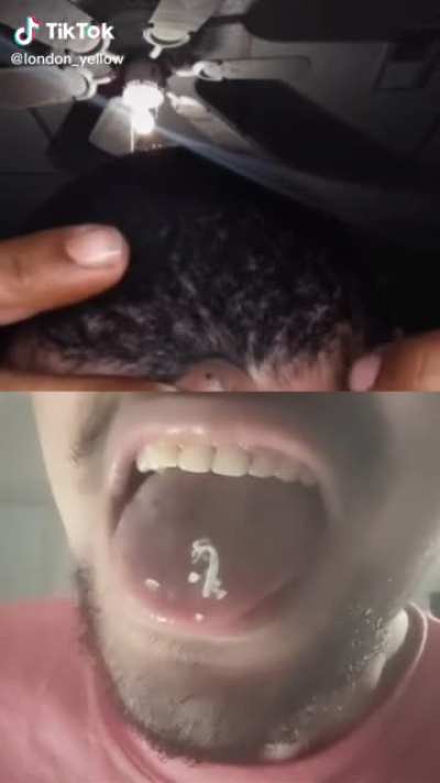 My disgust is immeasurable and my day is ruined