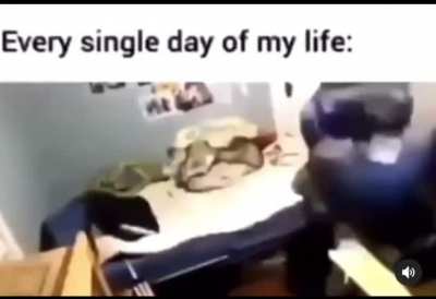 me_irl