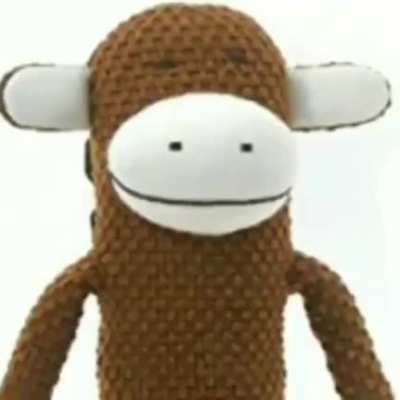 Monkey.mp4