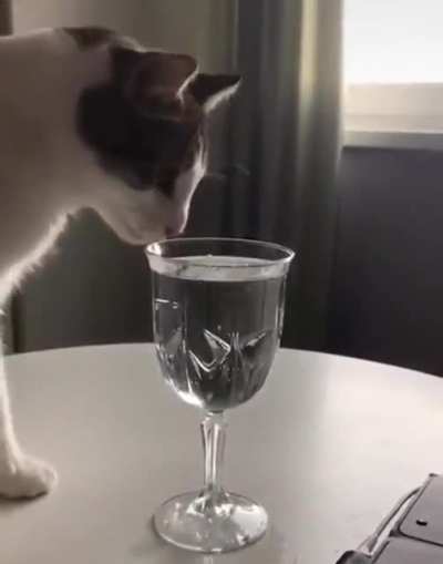 Just want a sip