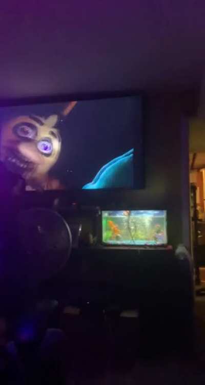My cousin playing FNAF help wanted perfect timing.