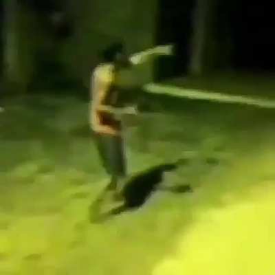 360 perfeito
