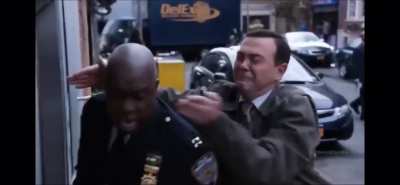 Perfectly cut Brooklyn Nine-Nine