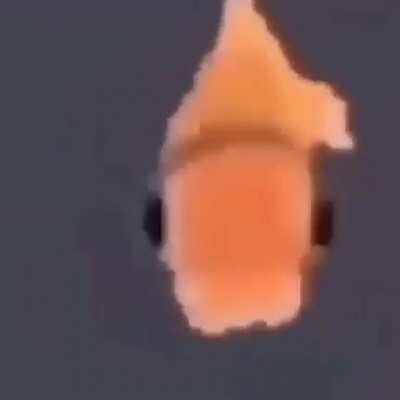 C: