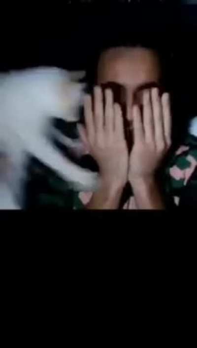 hahaha well a streamer was having a bad time playing horror video games than his cat decided that it is the best time to scare the shit outta him 😂