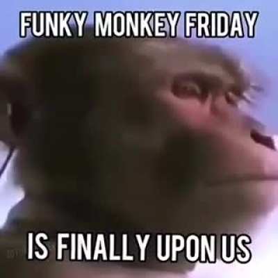 Monke vibe