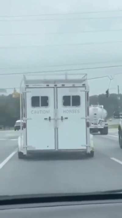 CAUTION HORSES 