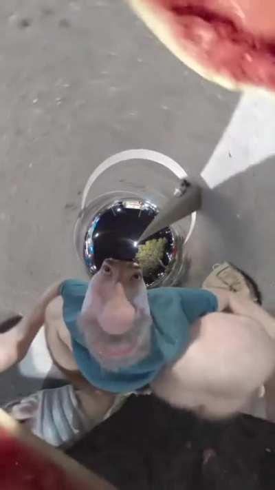 woburmelom
