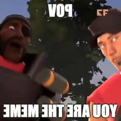 Tú é o meme agr