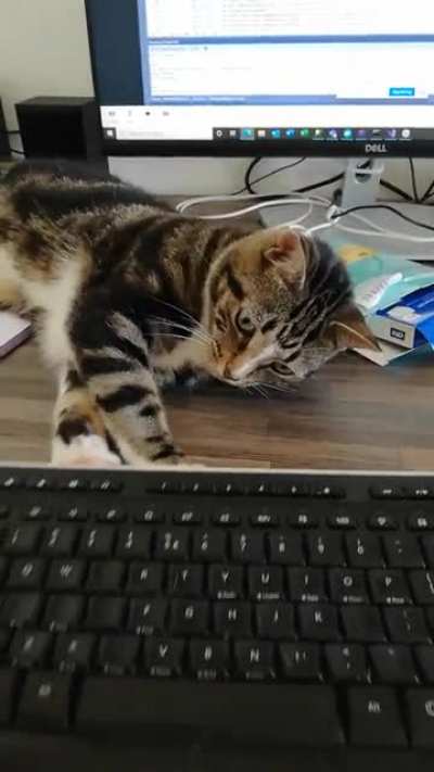 Working from home has it's challenges
