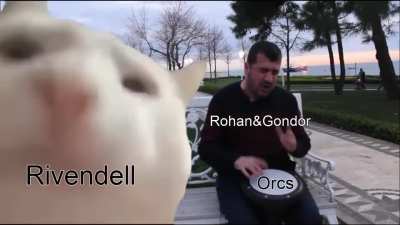 At least Elladan and Elrohir were there