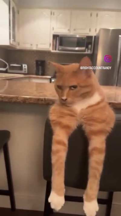 Who needs to meow when you can mew