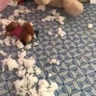 Not sure what to say...