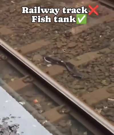 Only in India🫡