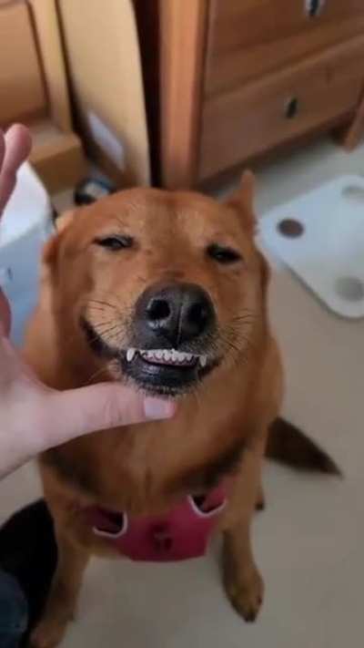 Fuuuu.....!