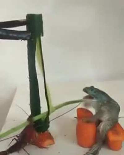 Best sub for this