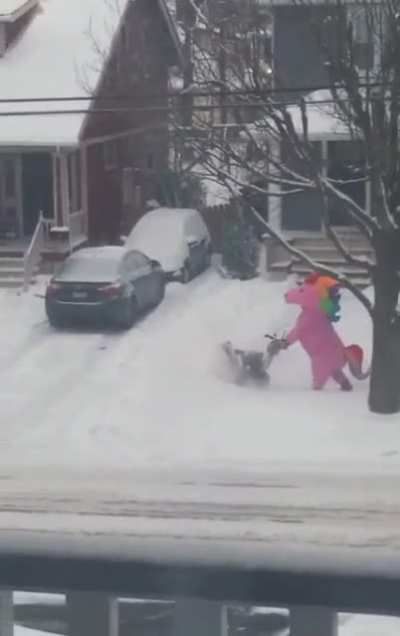 Unicorn Sighted In Cleveland