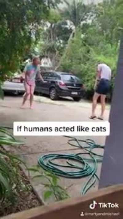 *weird cat noises*