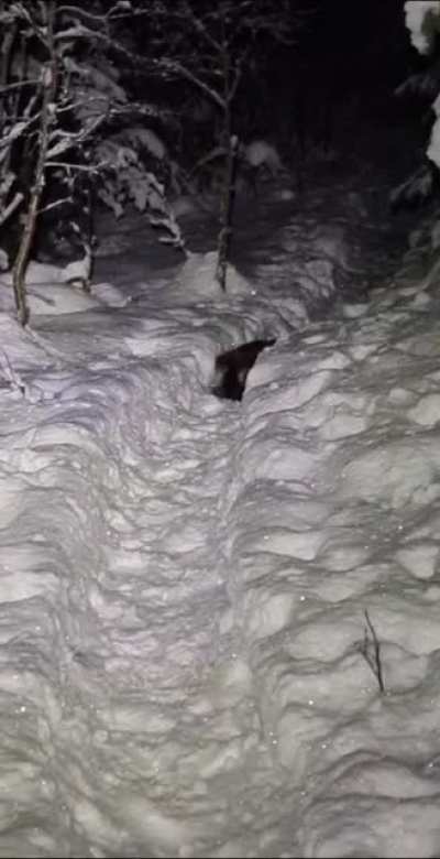 Buddha's first snow this winter