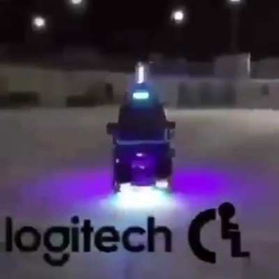 moldy loggidik