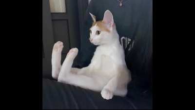charles