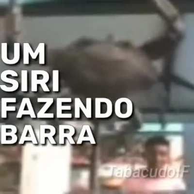 Primeiro post aqui