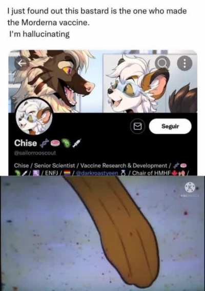 oh no bro