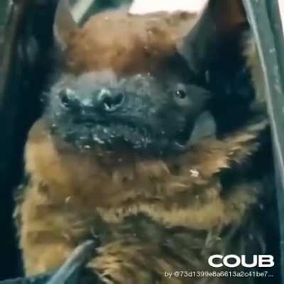 Меня снима<wbr>ешь?