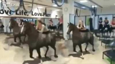 Giddy up!